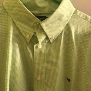 Lime Green Gingham Southern Marsh